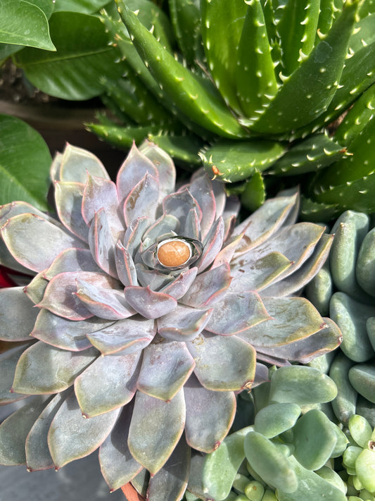 Sunset Stone Signet Ring (More colours)