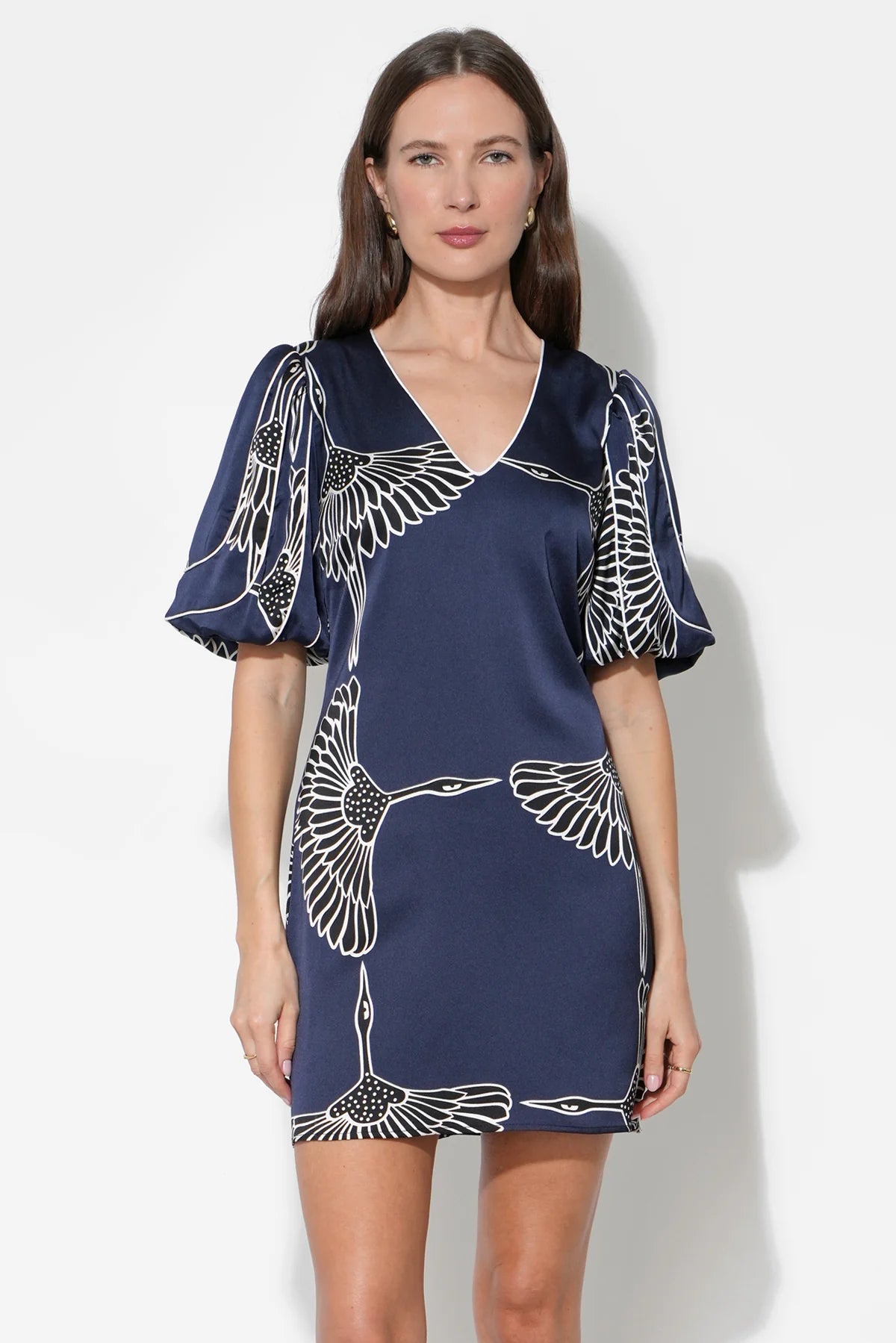 Sylvie Dress V-Neck Bubble Sleeve Mini Dress