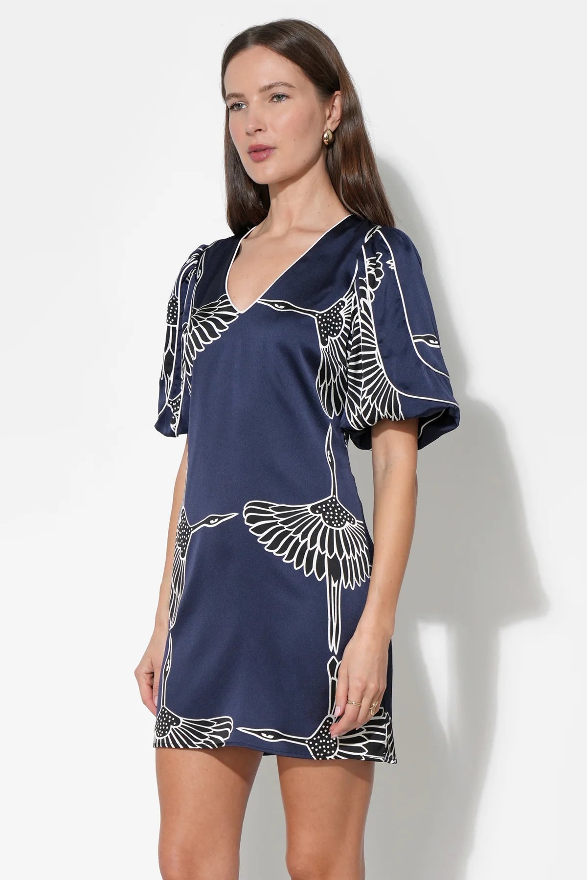 Sylvie Dress V-Neck Bubble Sleeve Mini Dress