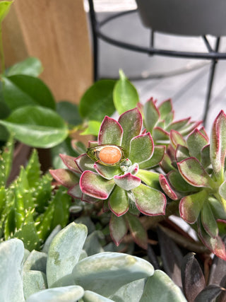 Sunset Stone Signet Ring (More colours)