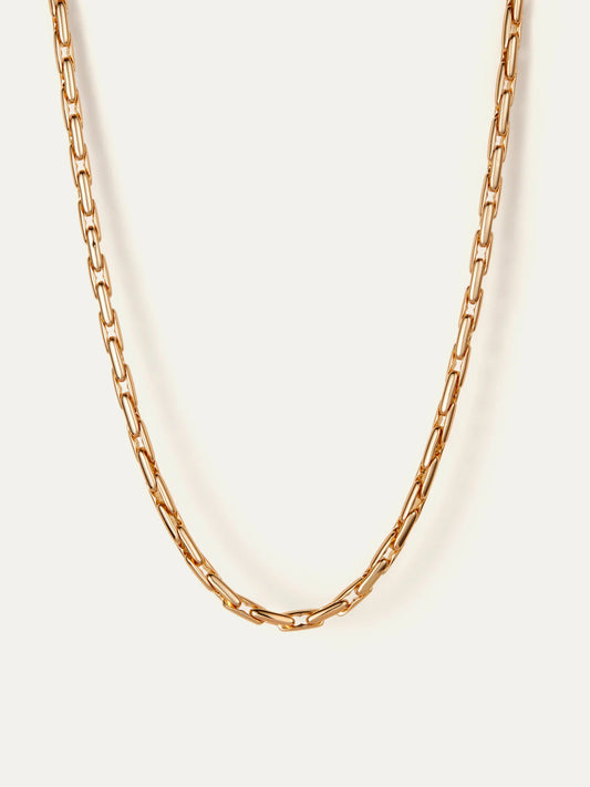 Alber Chain in Gold