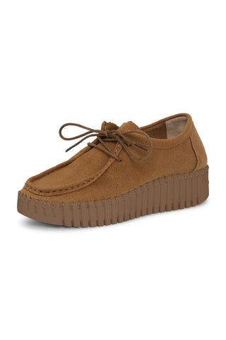 Tulip Lace Up Shoe in Cashew