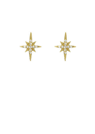 Diwali Earrings