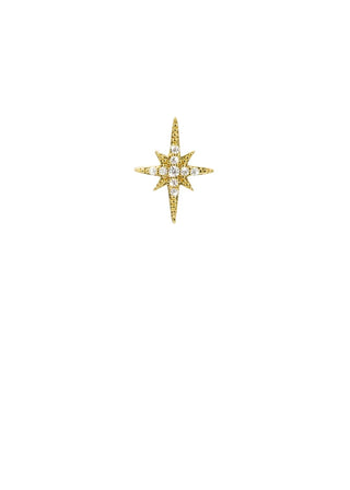 Diwali Earrings
