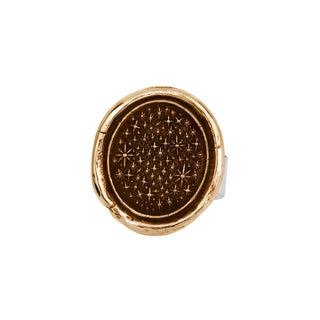 We Are Stardust Talisman Ring