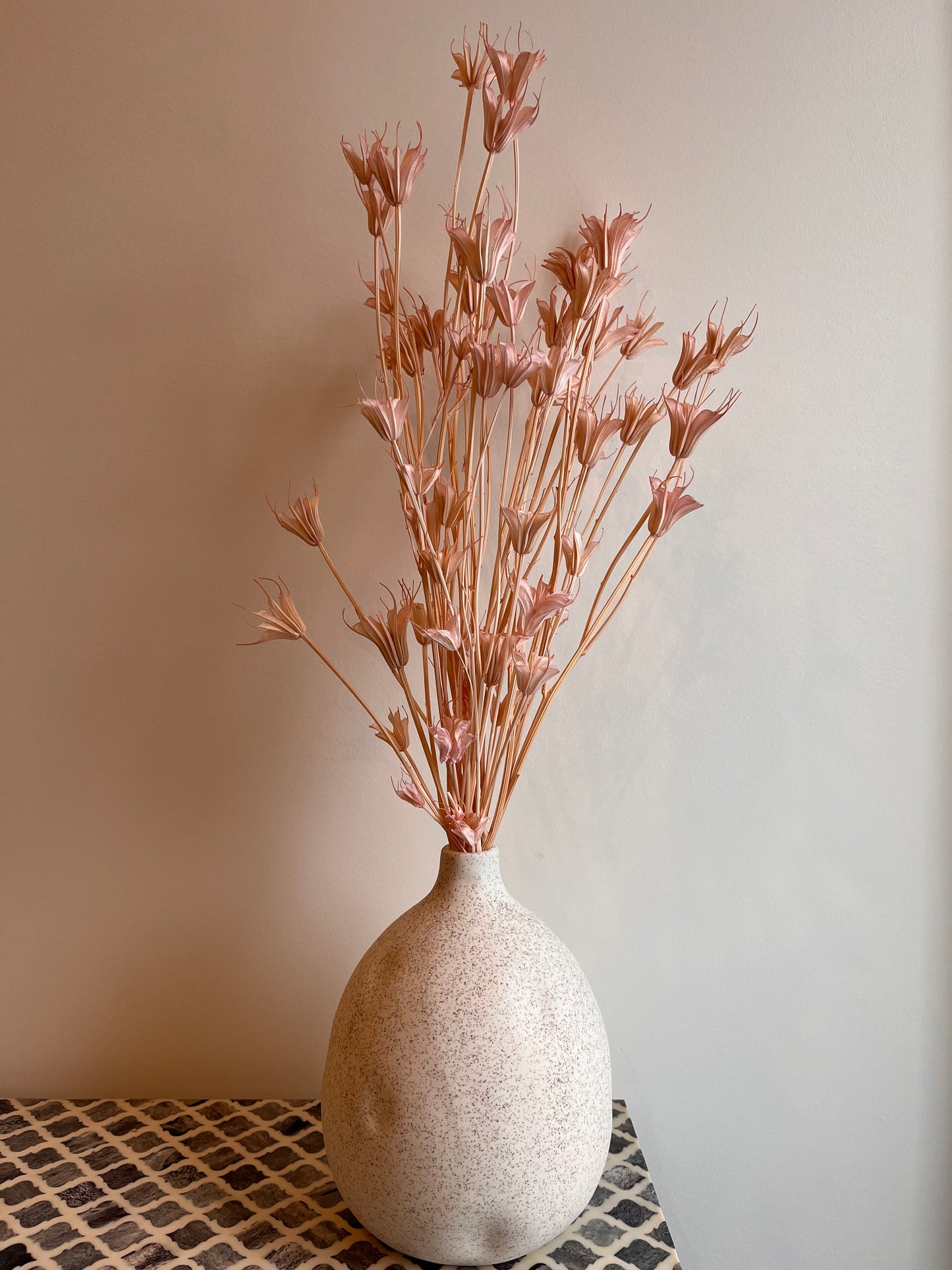Pink Nigella Orientalis in Mohave Desert Vase